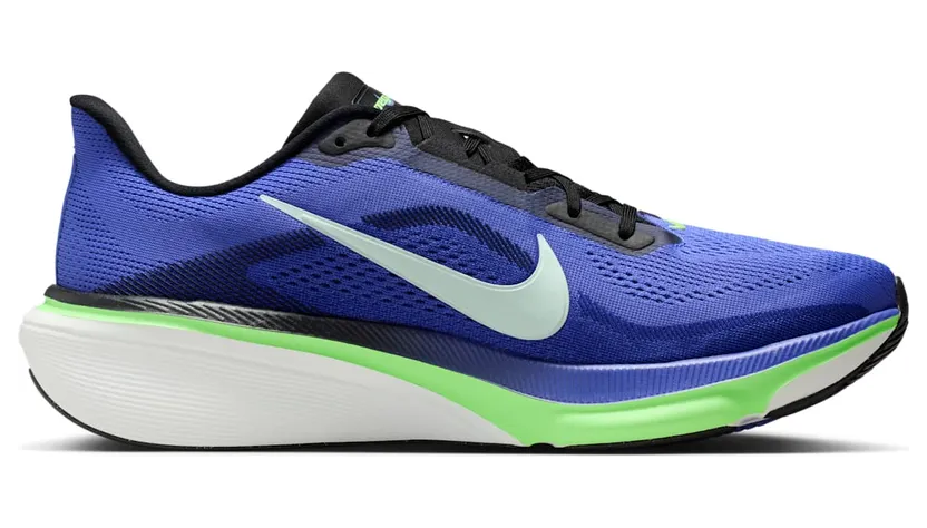 nike-air-pegasus IB1873-500