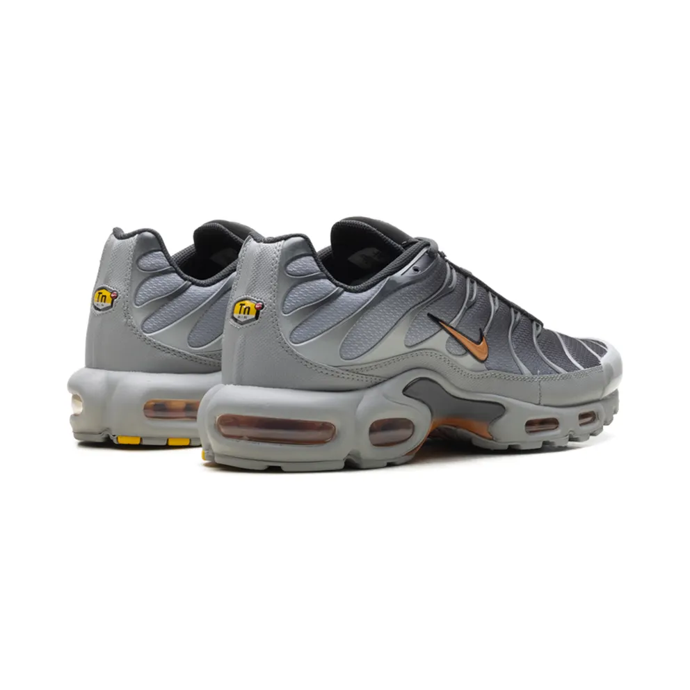 Nike Air Max Plus “Light Smoke Grey Hot Curry” (DM0032-037)