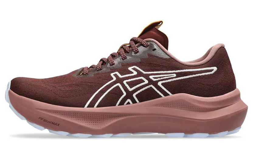 asics-gt-2000-2 1012B902-600