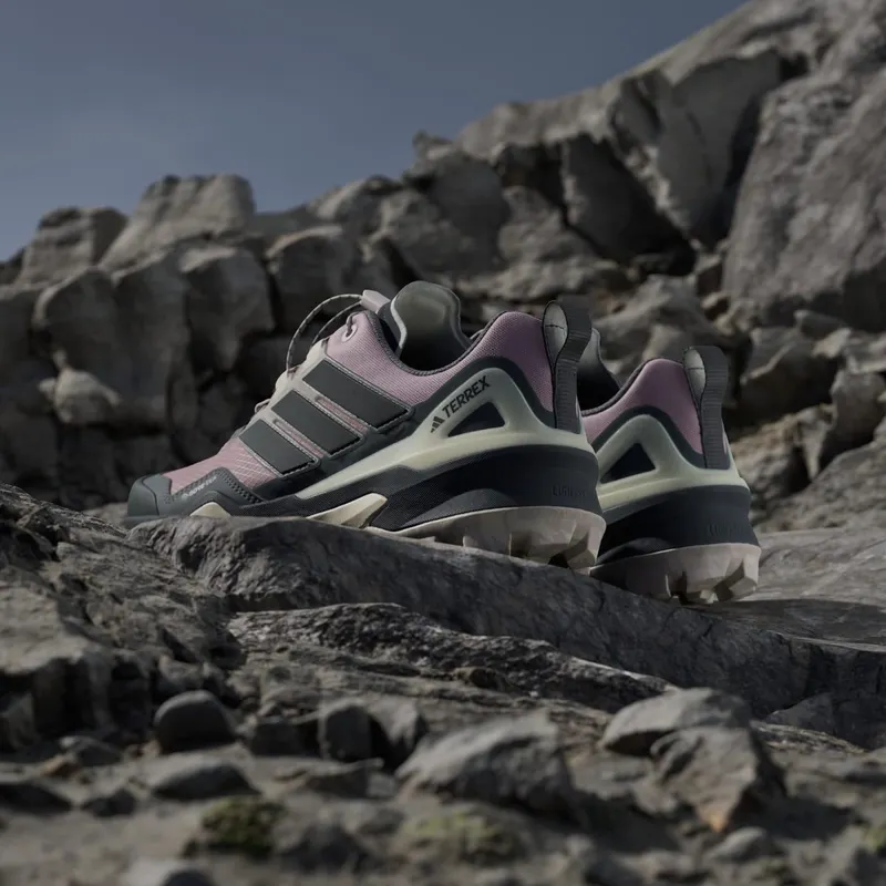 Adidas Terrex Skychaser GORE-TEX Hiking Putty Mauve / Core Black / Core Black (KJ8919)