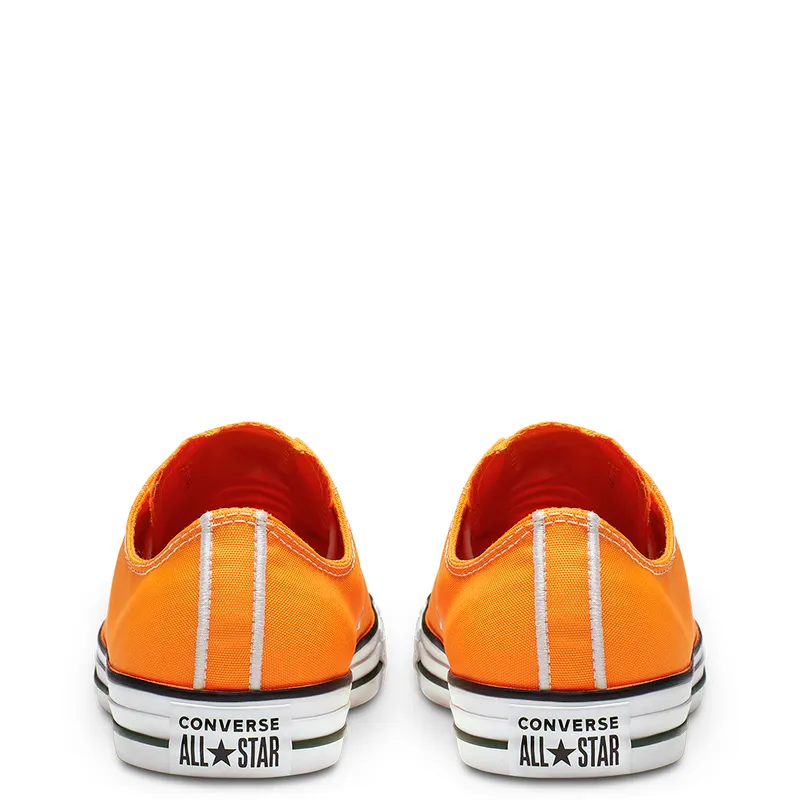 Converse Chuck Taylor All Star Summer Sport Low Top (164413C)