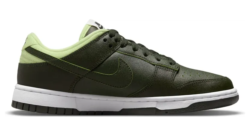nike-dunk DM7606-300