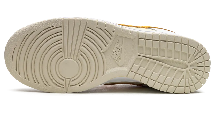 nike-dunk FJ4742-100