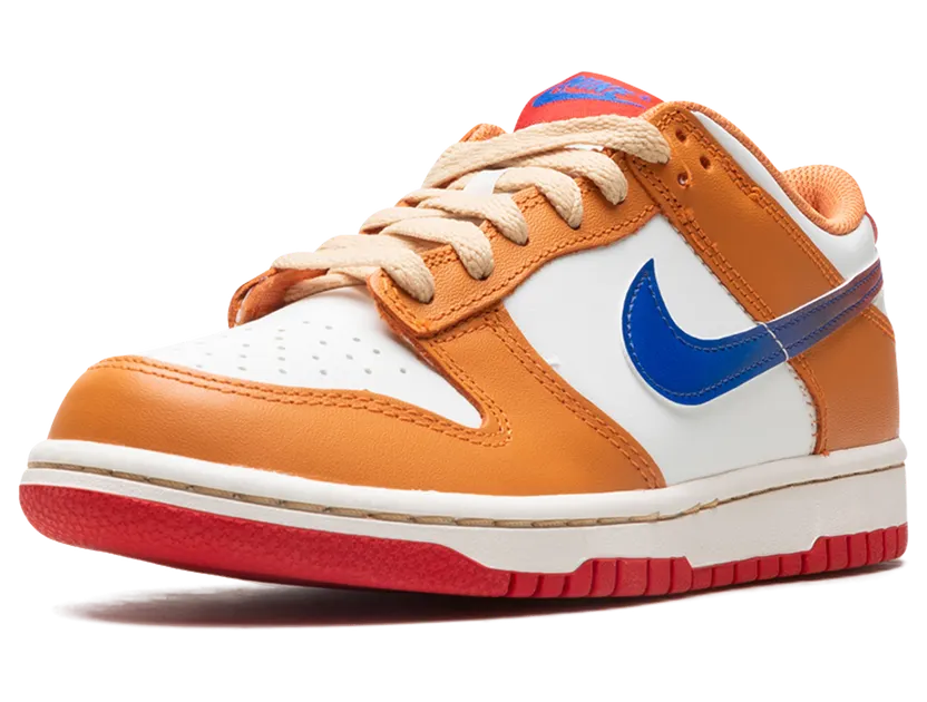 nike-dunk DH9765-101
