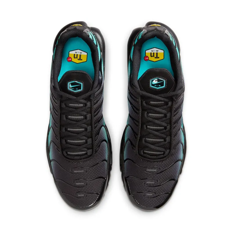 Nike Air Max Plus Black Dusty Cactus (DM0032-016)