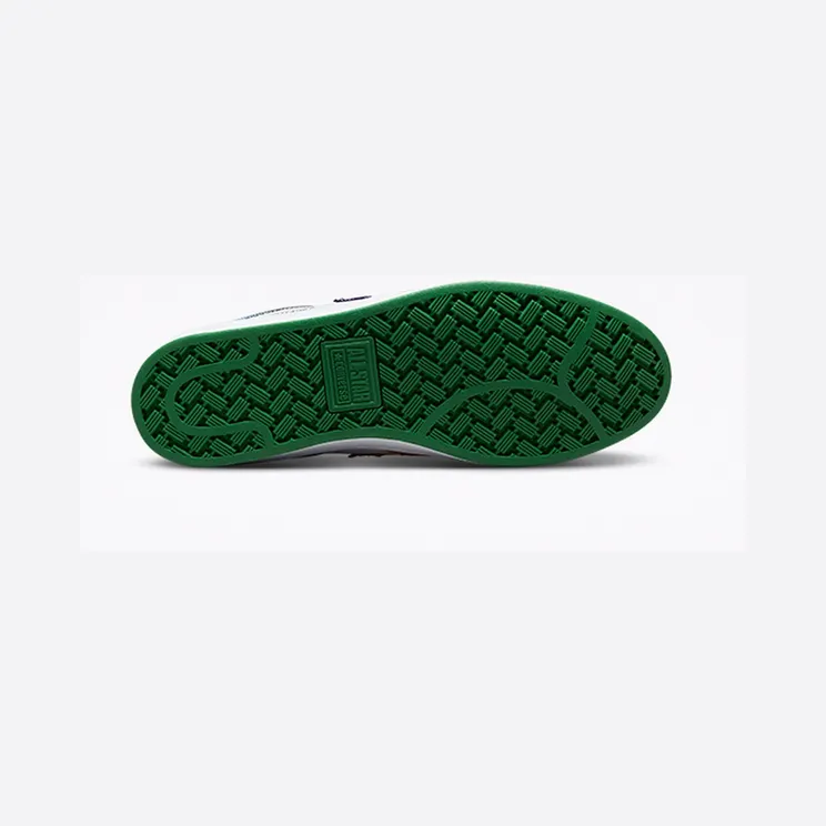converse-pro-leather 172889C
