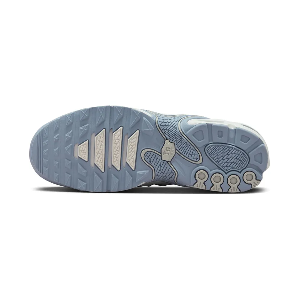 Nike Air Max Plus Drift Ashen Slate (FV4081-101)