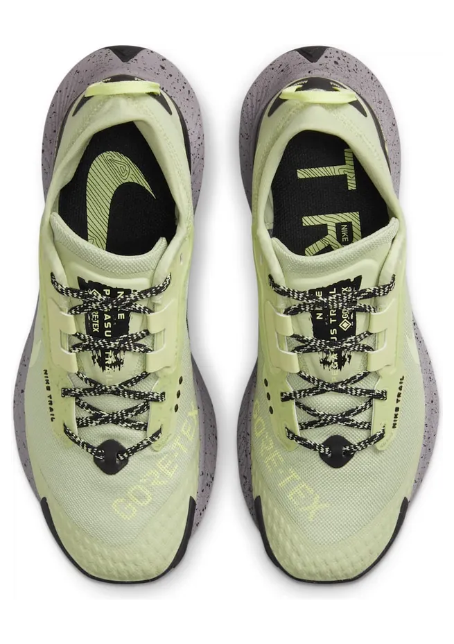nike-air-pegasus DC8794-301