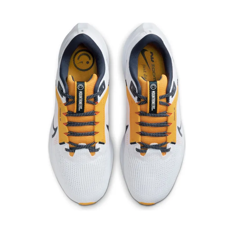 nike-air-pegasus DZ6005-100
