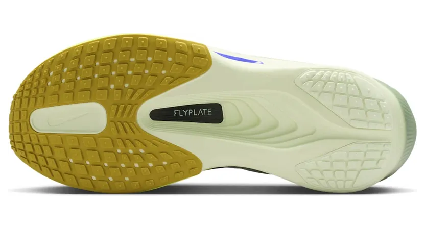 nike-zoom FN8454-300