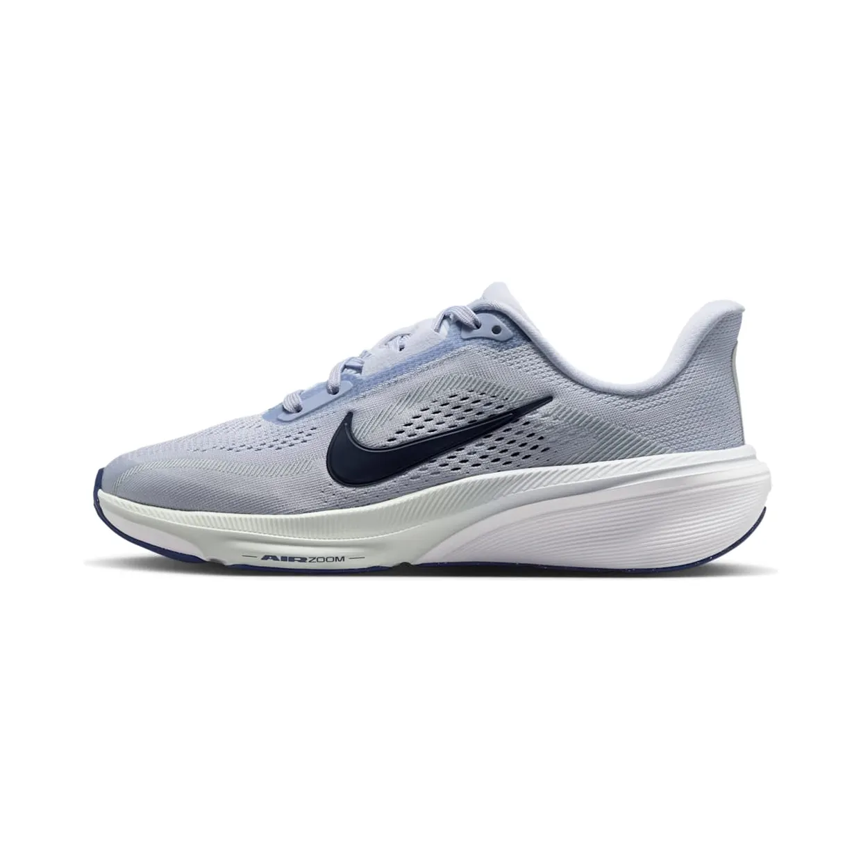 nike-air-pegasus IH2306-004