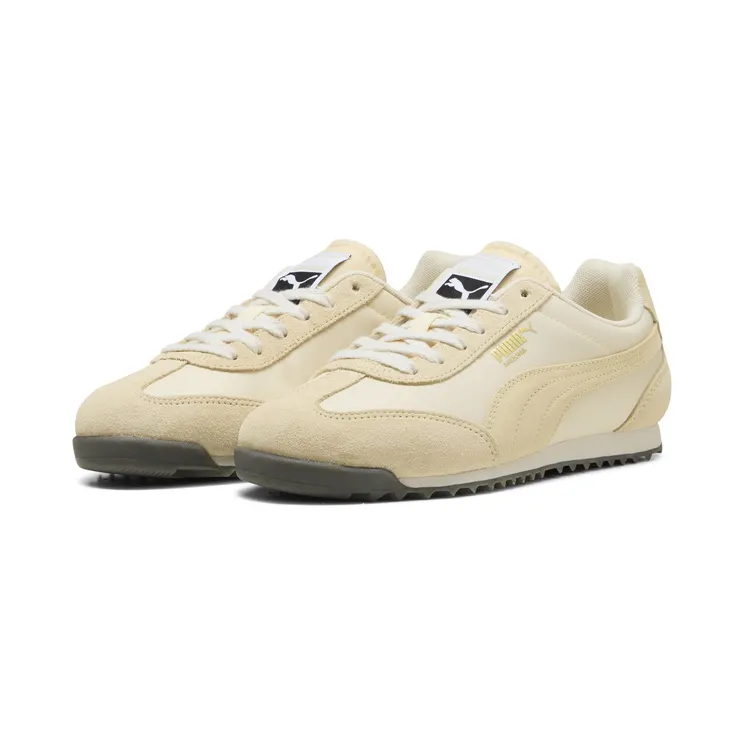 puma-arizona 398682_36