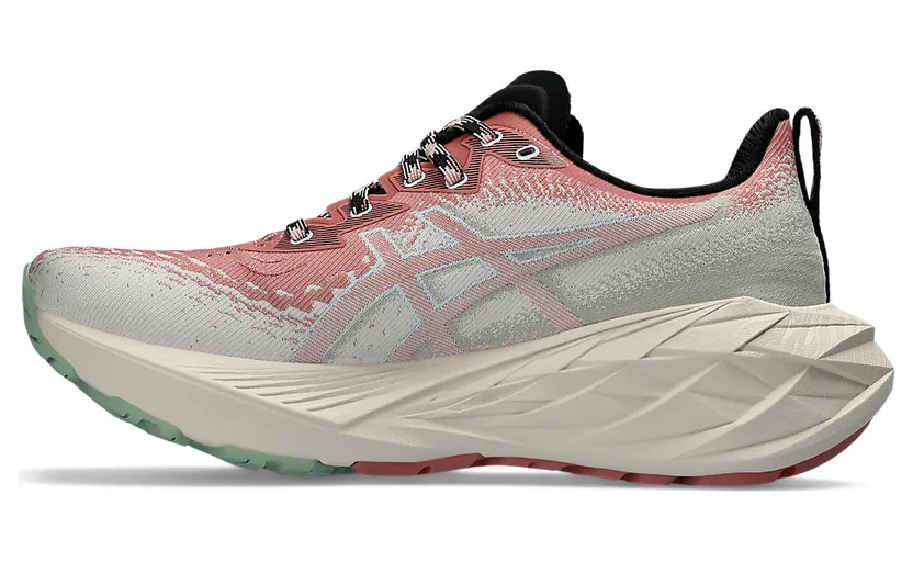 asics-novablast 1012B654.250