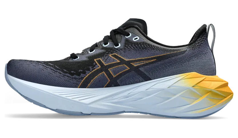 asics-novablast 1011B693.001