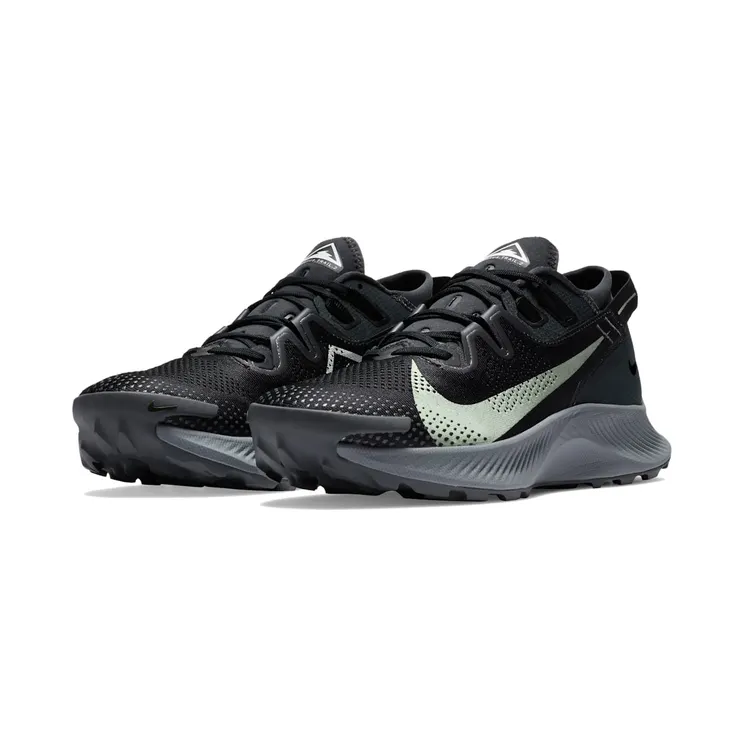 nike-air-pegasus CK4305-002
