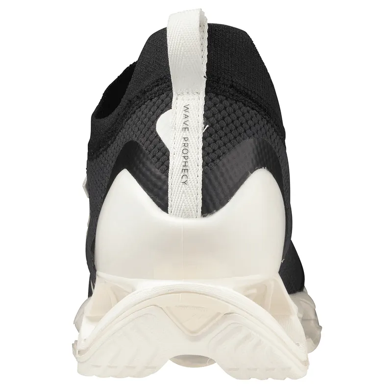 Mizuno Wave Prophecy Beta (D1GA220202)