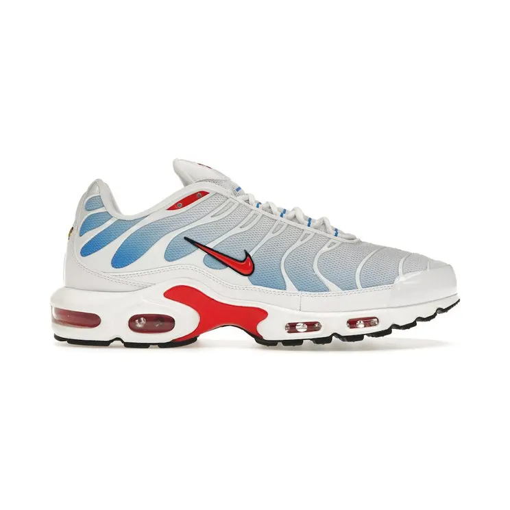 Nike Air Max Plus Tide (2022) (604133-423)