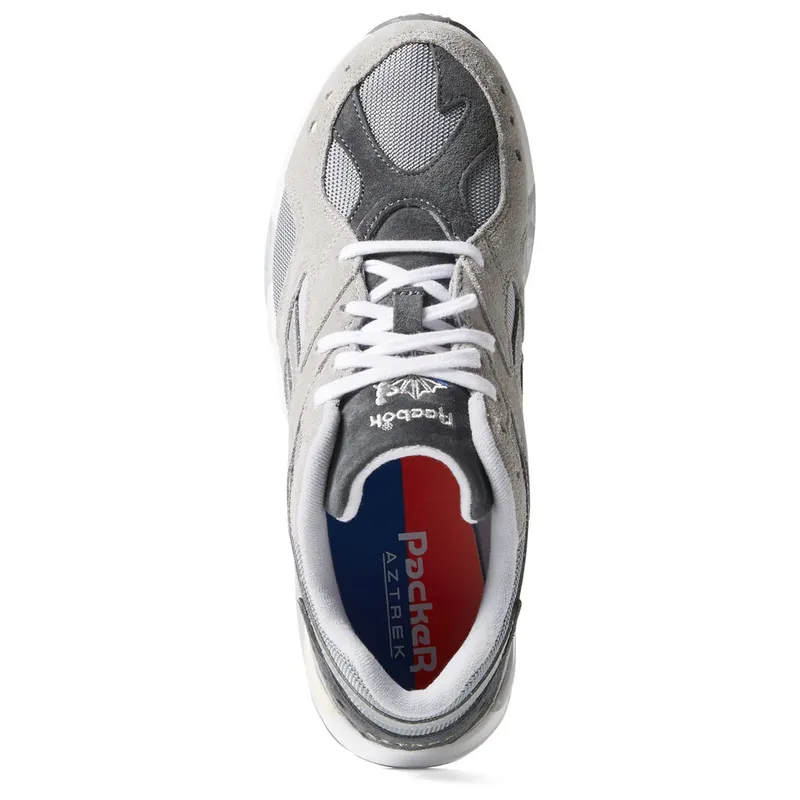 Reebok Aztrek Packer Shoes (DV9835)