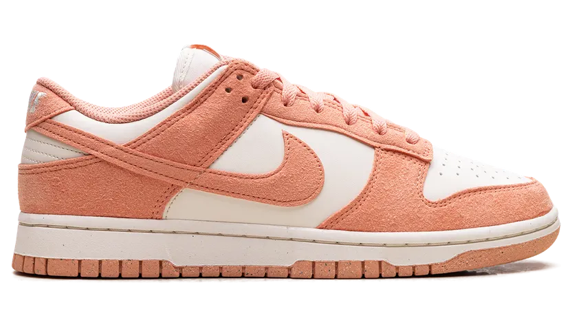 nike-dunk HJ7673-003