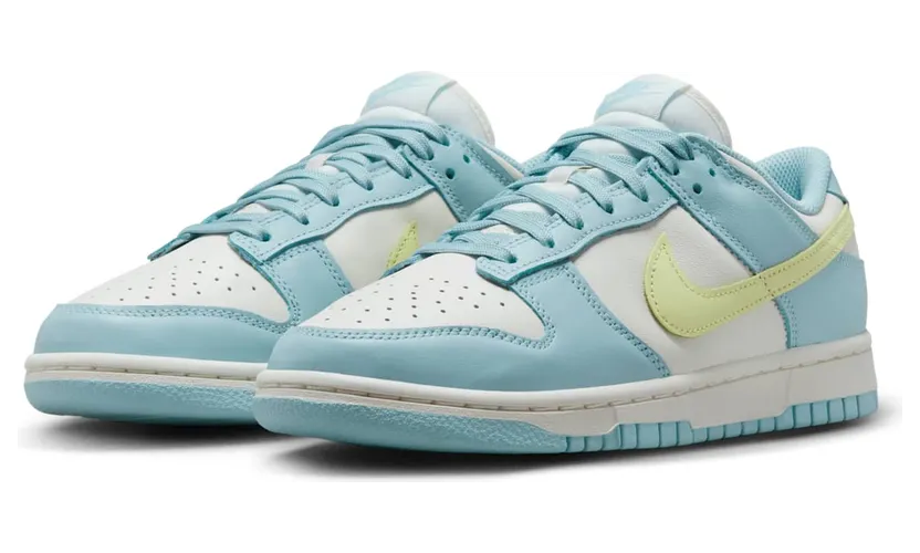 nike-dunk DD1503-123