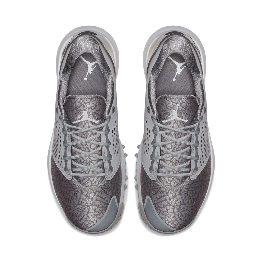 Jordan Trainer ST G Wolf Grey Wolf Grey/Gunsmoke-White (AH7747-001)