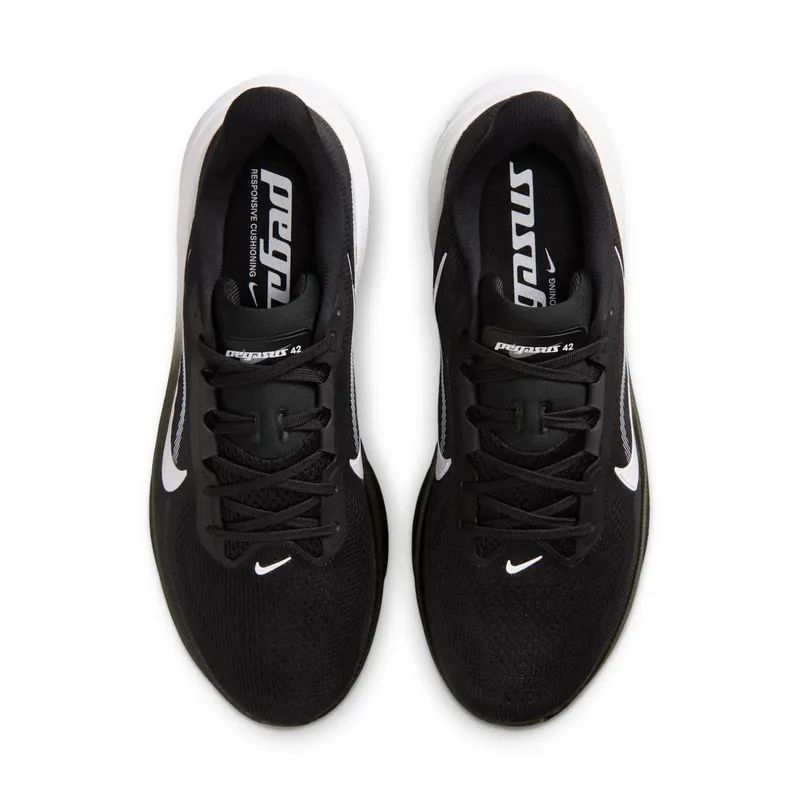 Nike Pegasus Black/Photon Dust/White (IB1873-001)