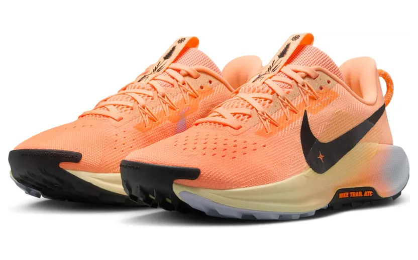 nike-air-pegasus DV3865-800