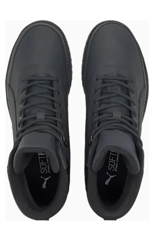 puma-desierto 373026-02