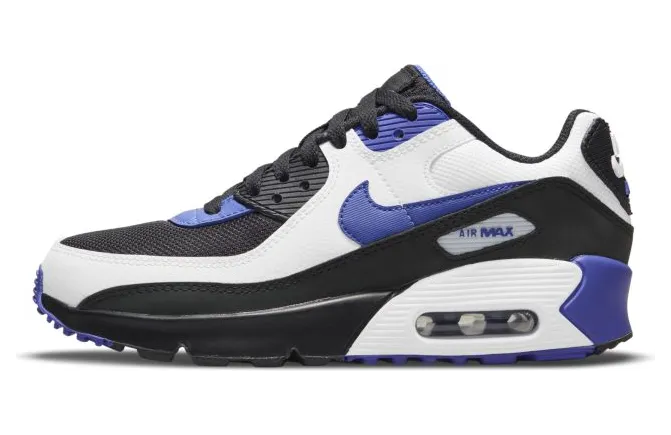 Nike Air Max 90 LTR Persian Violet (GS) (CD6864-014)