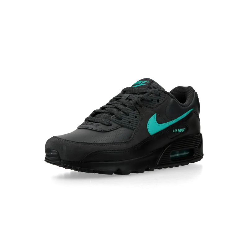 Nike Air Max 90 (dk smoke grey / clear jade ii / black /white) – IF0670-002