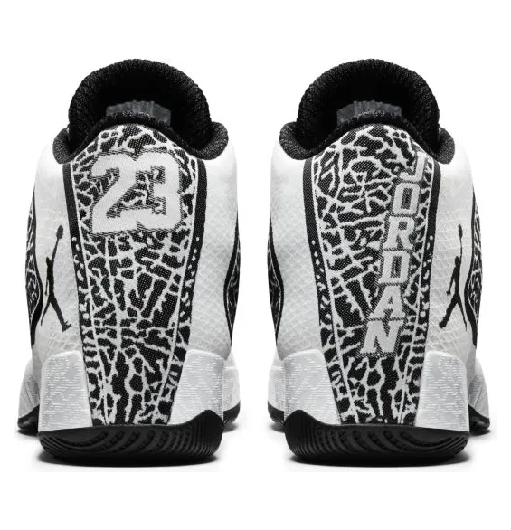 air-jordan-29 695515-070