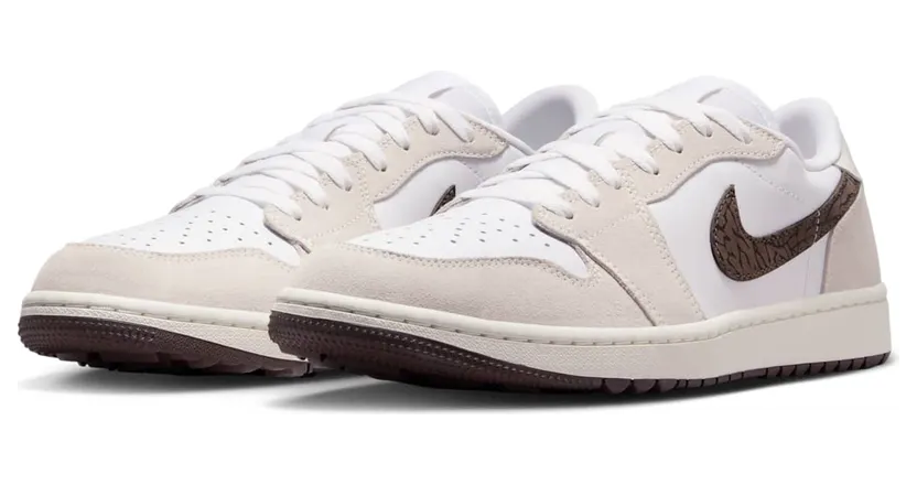 air-jordan-1 DD9315-116