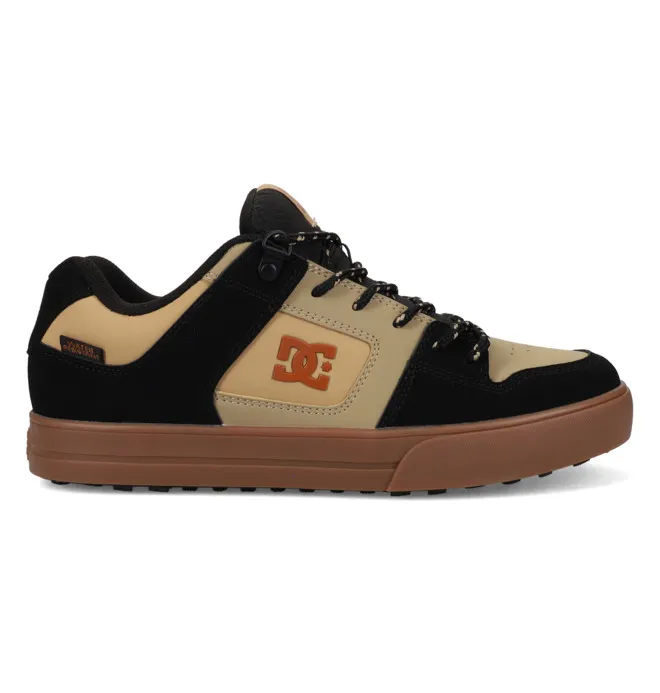 DC Pure Wnt (ADYS300151001)