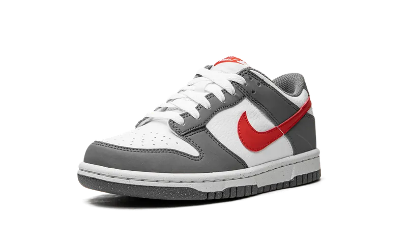 Nike Dunk Low Next Nature GS “Smoke Grey” (FB8038-001)