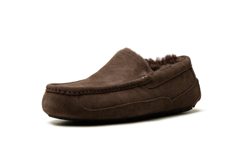 Ugg Ascot Slide “Dusted Cocoa” (1101110-DDC)