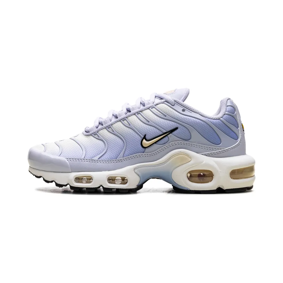 Nike Air Max Plus “Daybreak” (DZ3670-004)