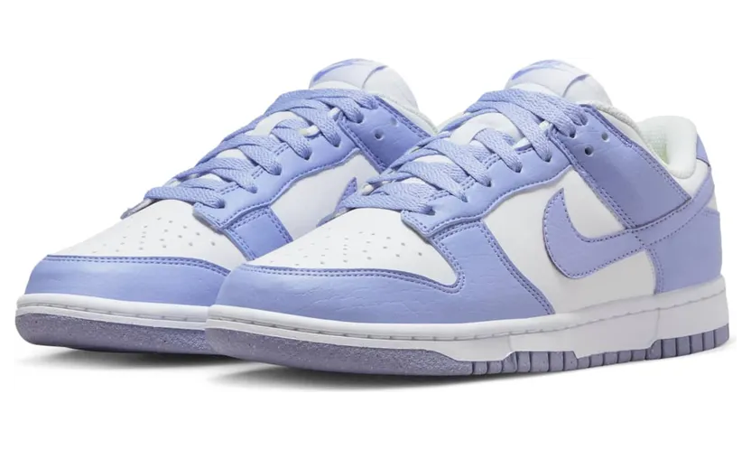 nike-dunk DN1431-103