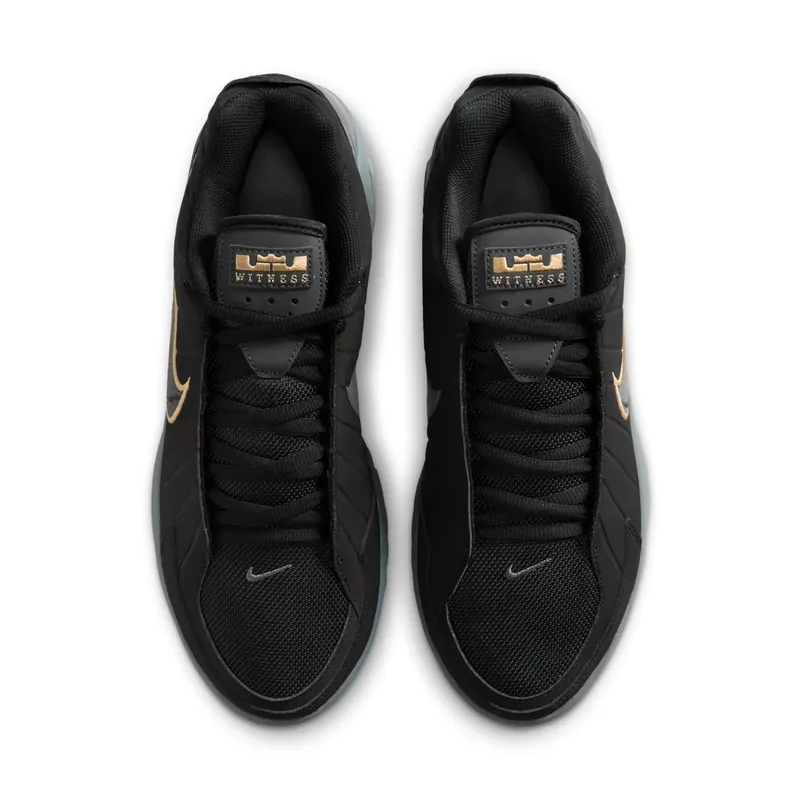 Nike LeBron Black/Iron Grey/Dark Smoke Grey/Black (HQ8034-003)