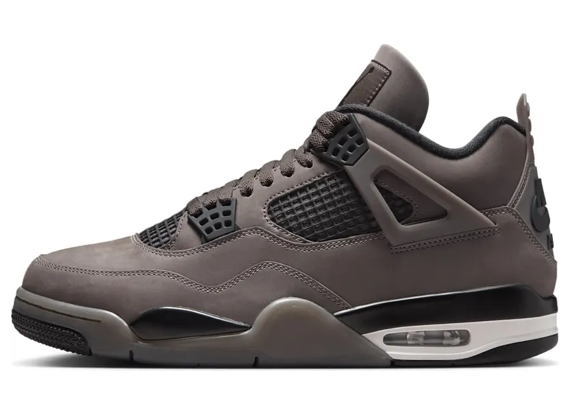 Air Jordan 4 FV5029-200
