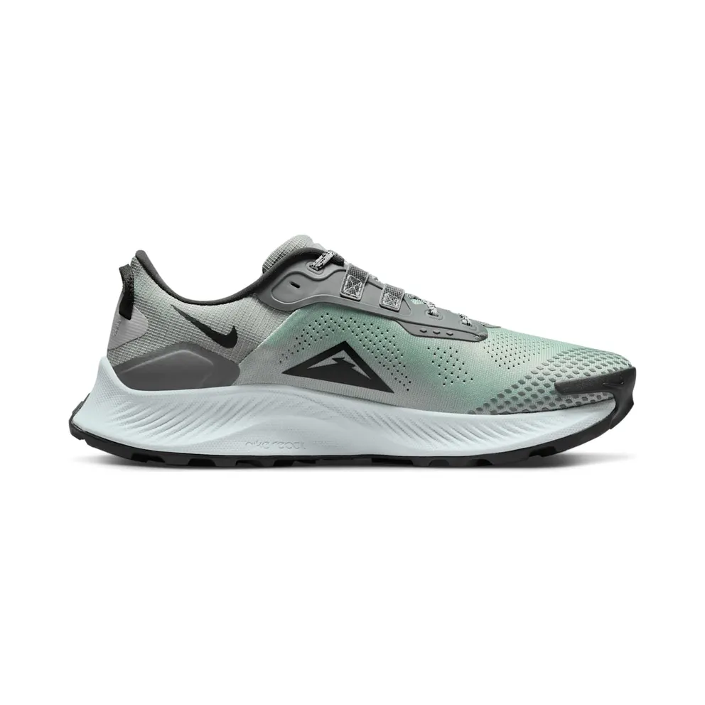 Nike Pegasus Trail 3 “Dusty Sage / Smoke Grey / Light Smoke Grey / Black” (DV3035-001)