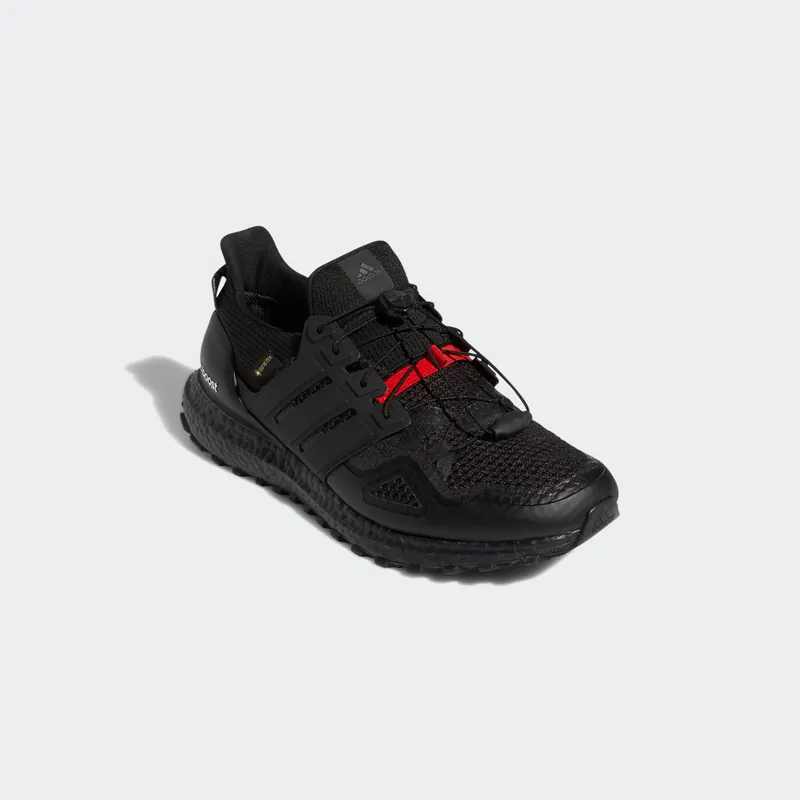 Adidas Ultraboost GORE-TEX Core Black / Core Black / Core Black (GY2675)