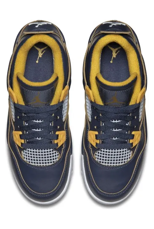 air-jordan-4 408452-425