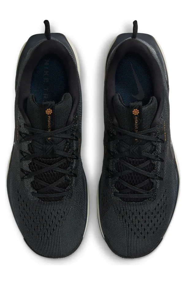 nike-air-pegasus DV3864-006