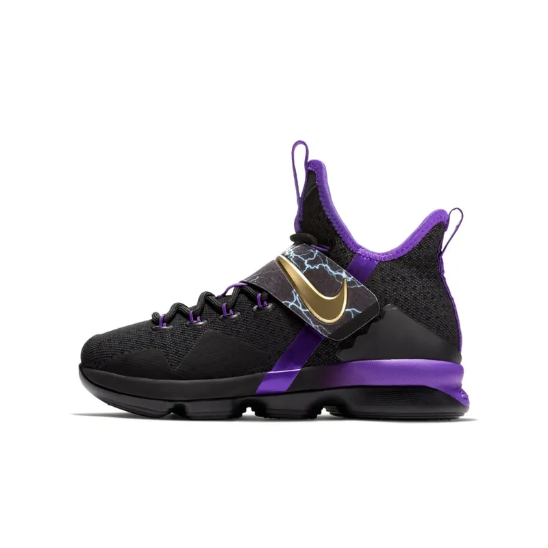 Nike  LeBron 14 The Undertaker (GS) Hyper Grape/Metallic Gold-Black (AA3258-590)