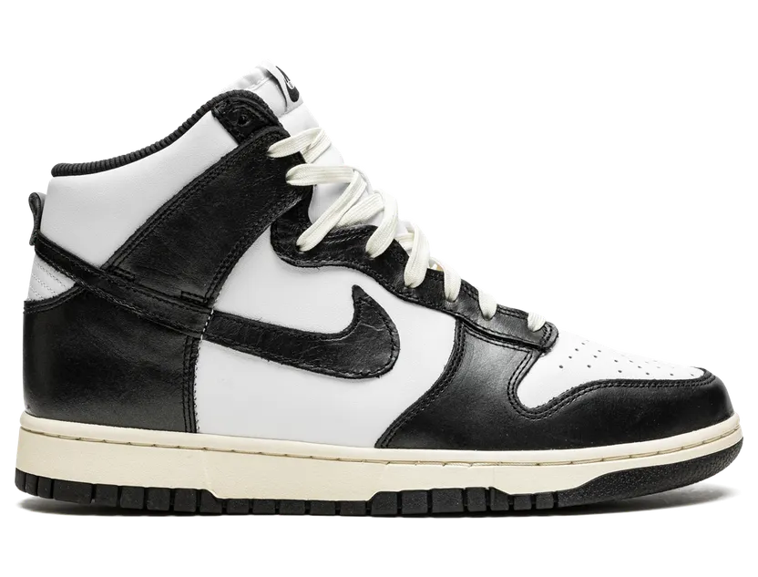 nike-dunk DQ8581-100
