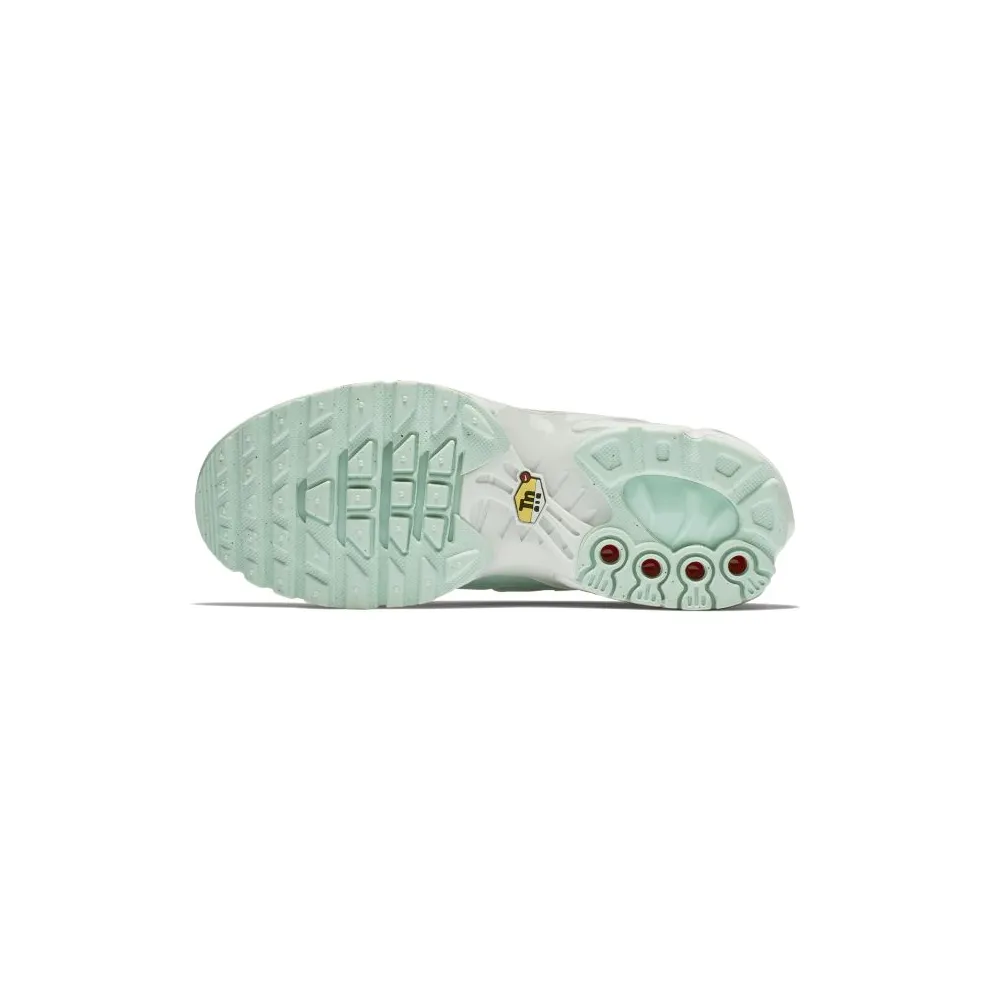 Nike Air Max Plus Igloo (GS) Igloo/White-Igloo (718071-300)