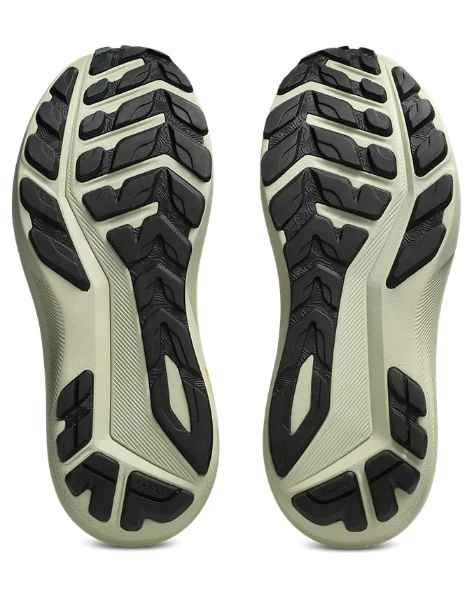 asics-gt-1000 1011C233-250