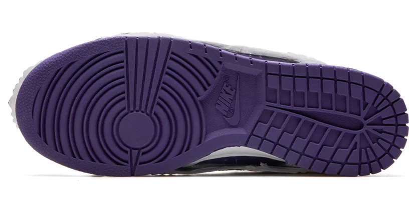 nike-dunk DJ4636-100