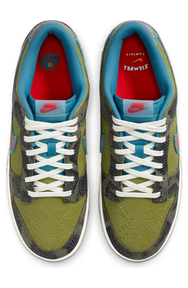 nike-dunk DO2160-335