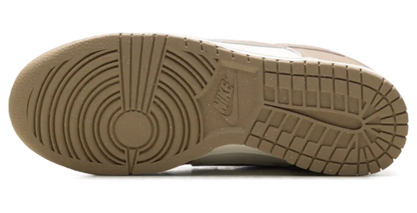 nike-dunk IB7311-101